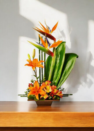 Birds-of-Paradise2-5