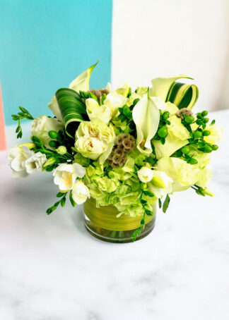 Freesia