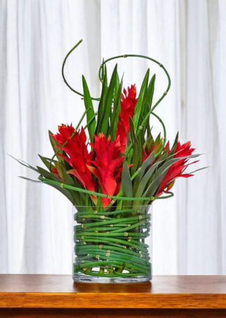 Ginger-Flower-1-2