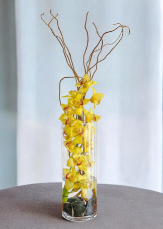 Sunny-orchids-floroist-boca-raton