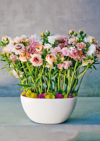 Ranunculus