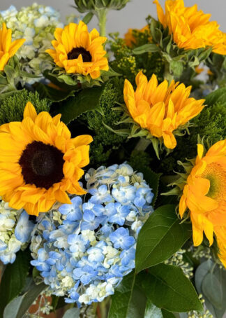 sunflowers