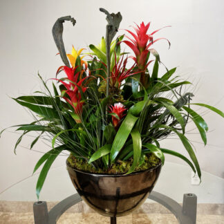 Brameliad Flower Arrangement