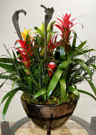 Brameliad Flower Arrangement