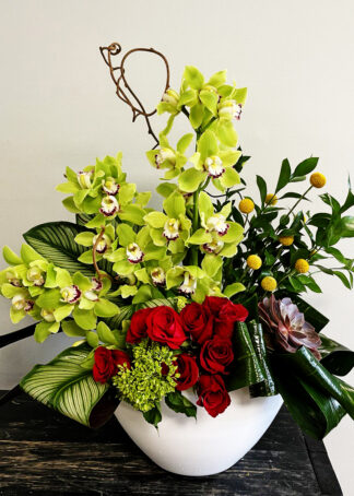 Ginevra: green and red arrangement