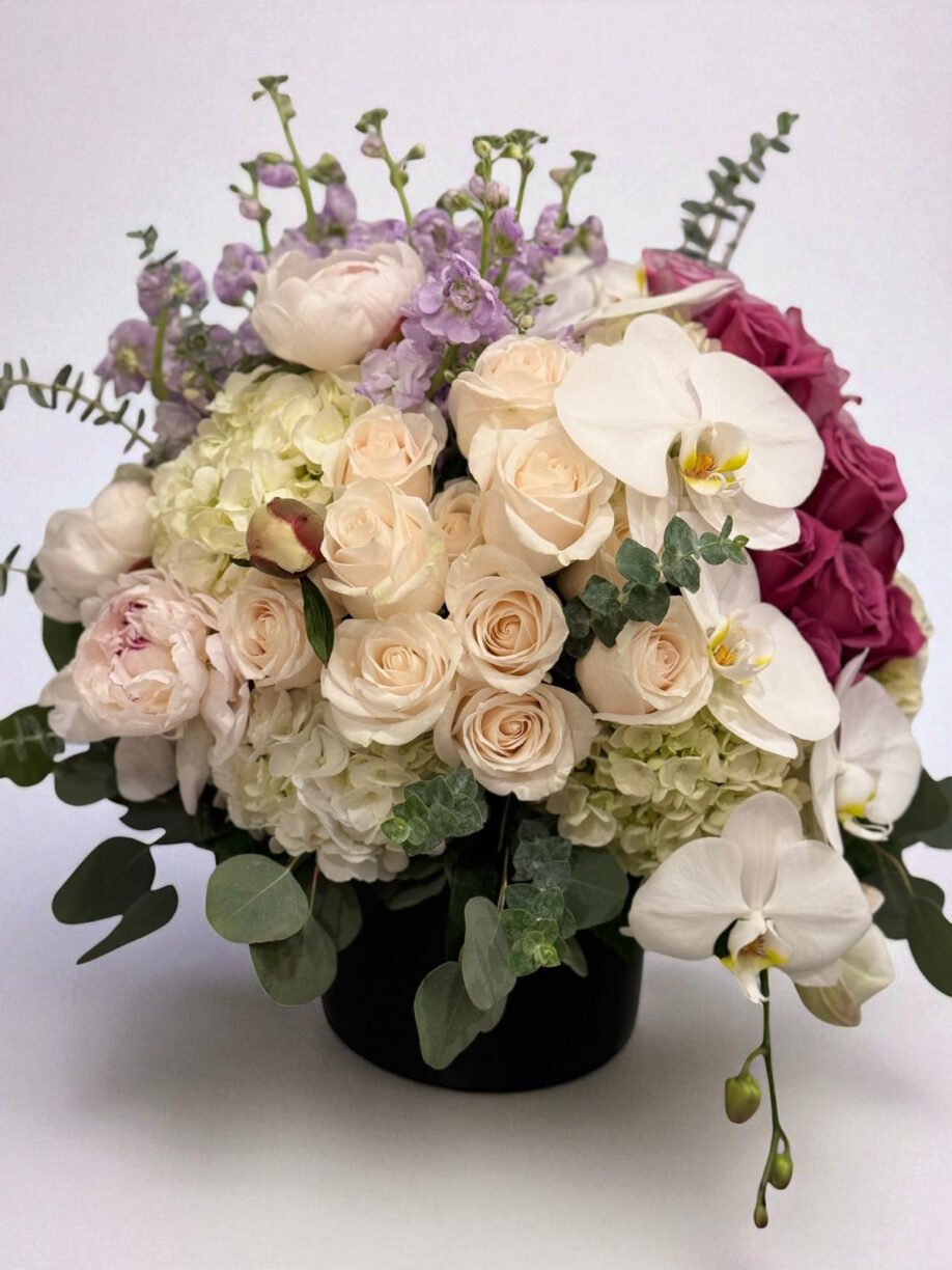 Peach Roses